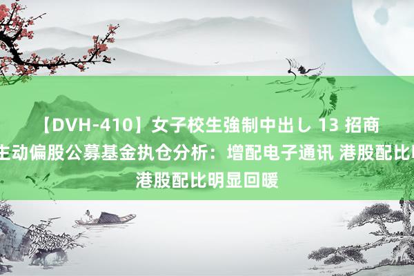 【DVH-410】女子校生強制中出し 13 招商证券Q2主动偏股公募基金执仓分析：增配电子通讯 港股配比明显回暖